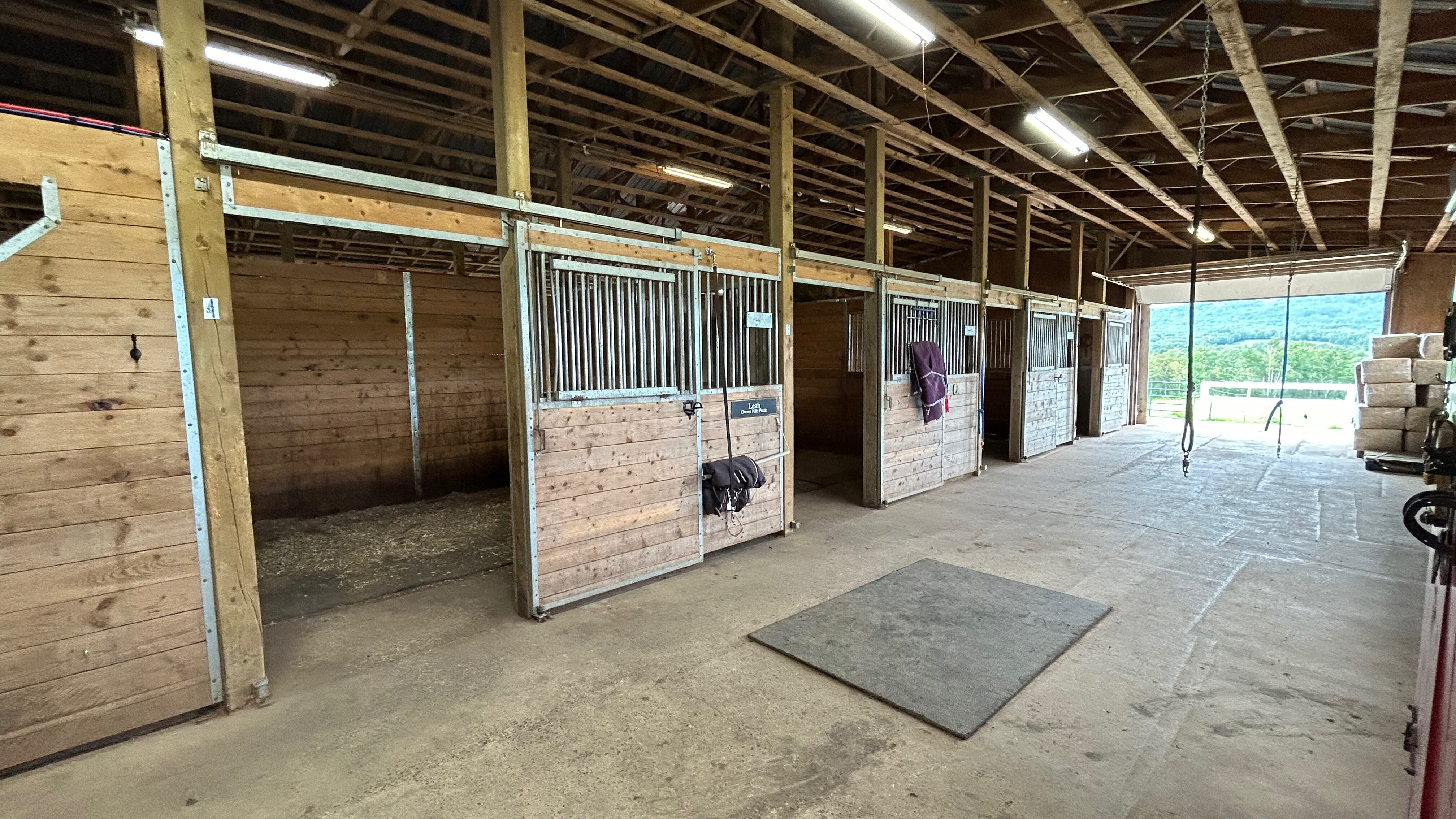 inside-withers.jpg