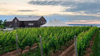 lightfoot and wolfville