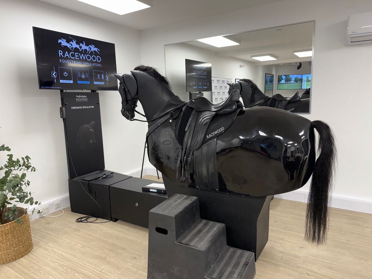 Horse simulator with training screen