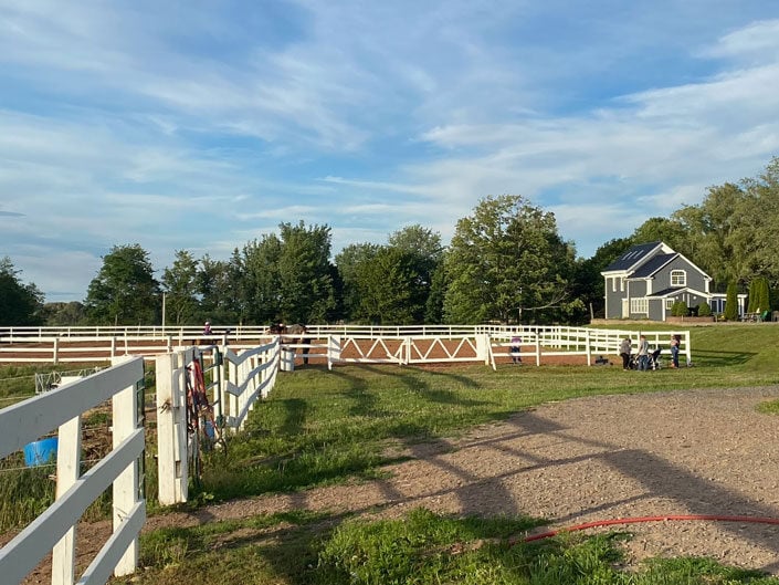 Fencing and paddocks at Willow and Withers Stables