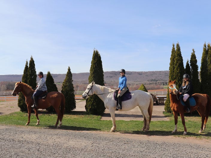 Nina, and other horses and riders enjoy a trail ride