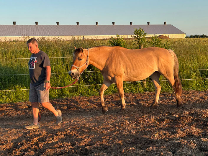 Paul Taljaard, owner Willow and Withers Stables