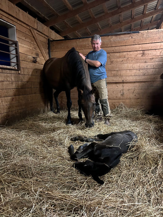 Paul Taljaard, owner Willow and Withers Stables