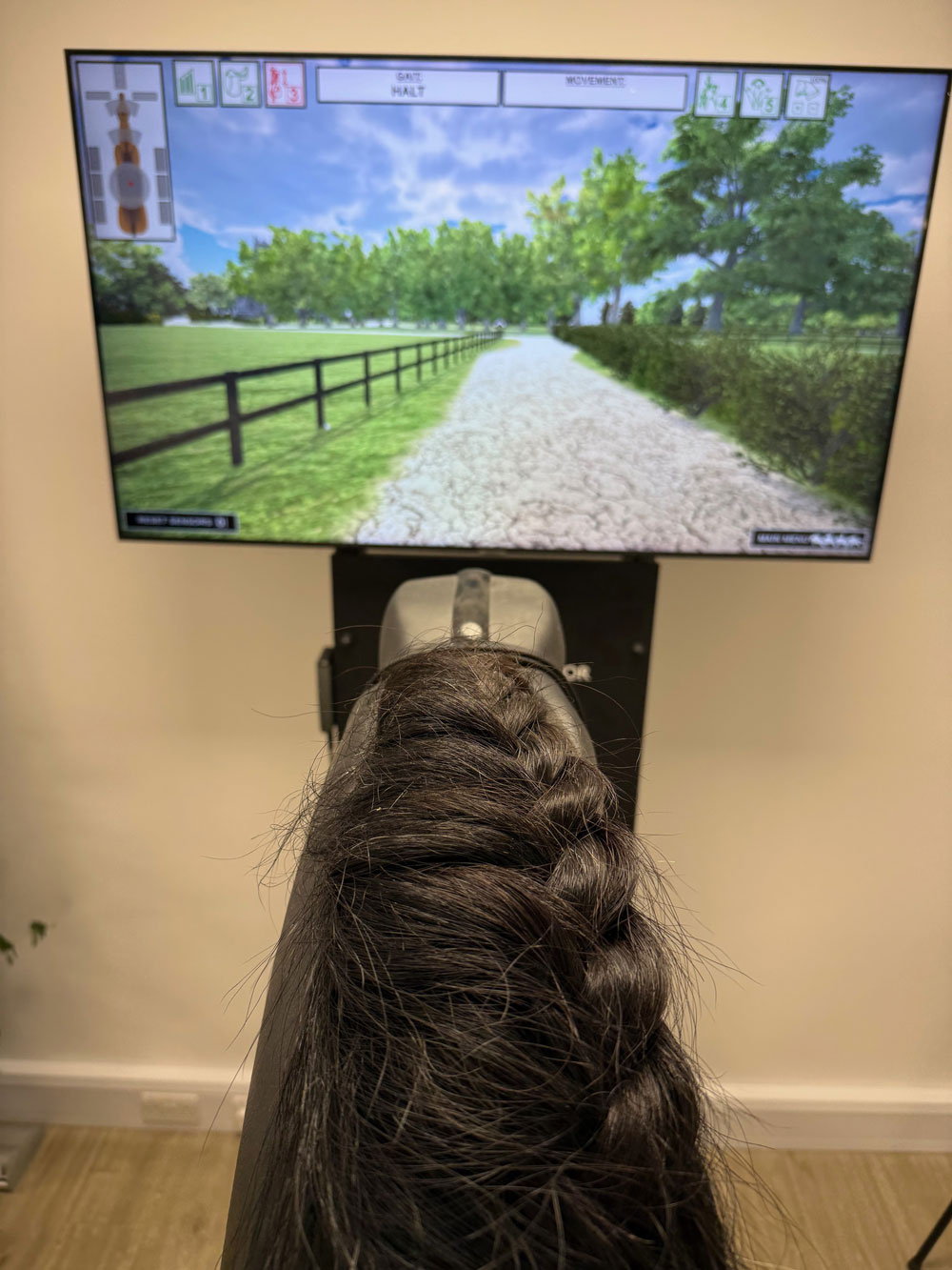 Will-oh! Horse Simulator, view of riding screen