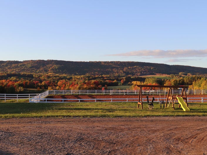 Fall colours at Willow and Withers Stables, Sheffield Mills, Annapolis Valley, Nova Scotia